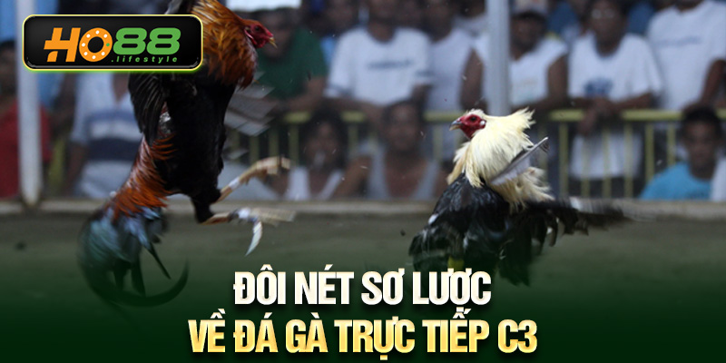 Đôi nét sơ lược về đá gà trực tiếp c3