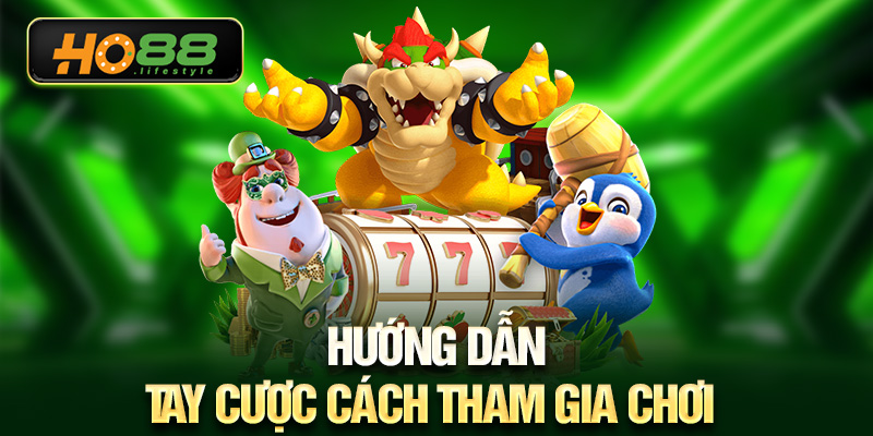 Hướng dẫn tay cược cách tham gia chơi