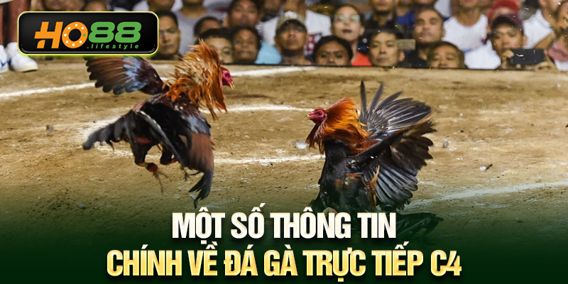 Một số thông tin chính về đá gà trực tiếp c4
