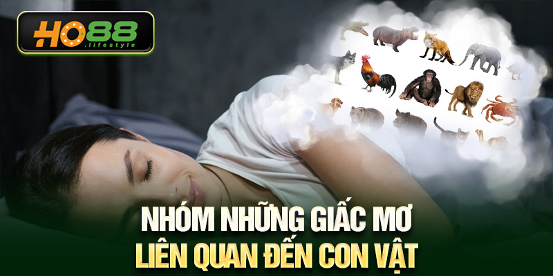 Nhóm những giấc mơ liên quan đến con vật