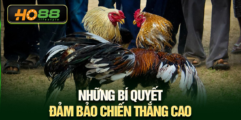 Những bí quyết đảm bảo chiến thắng cao