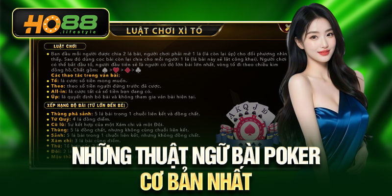 Những thuật ngữ bài Poker cơ bản nhất