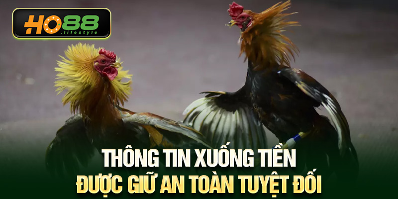 Thông tin xuống tiền được giữ an toàn tuyệt đối